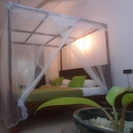 Dickwella Green Villa Екстериор снимка